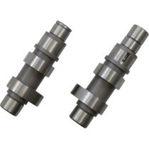 CAMSHAFT SET 21G GEAR-DRIVEN