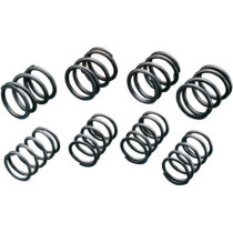 HIGH-LIFT VALVE SPRINGS