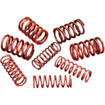 HIGH-LIFT VALVE SPRINGS