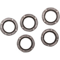 STARTER SHAFT SEAL EVO-BT