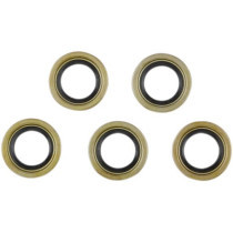 STARTER SHAFT SEAL EVO-BT