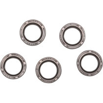 STARTER SHAFT SEAL EVO-BT