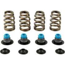 SPRING KIT .585  05-17TC