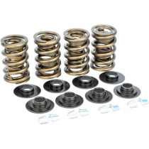 SPRINGS .685 BT EVO 84-04