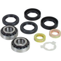 SWINGARM BEARING KIT