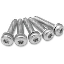 EFI MOUNT SCREWS