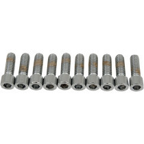 SOCKET-HEAD BOLT 1/4-20X0.75 SMOOTH CHROME