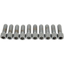 SOCKET-HEAD BOLT 5/16-18X0.875 SMOOTH CHROME