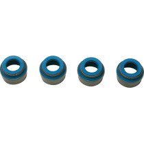 VITON VALVE SEALS 5/16" EVO