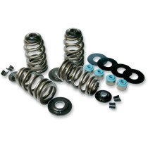 VALVE SPRING KIT ECONO BEEHIVE