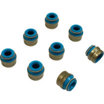 VITON VALVE SEALS 6 mm V-ROD