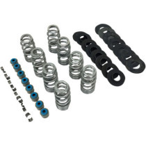 VALVE SPRING KIT ENDURANCE BEEHIVE