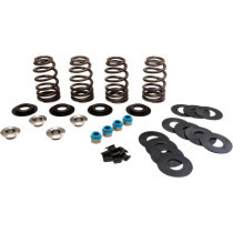 VALVE SPRINGS ECONO TC