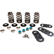 VALVE SPRINGS ECONO TC