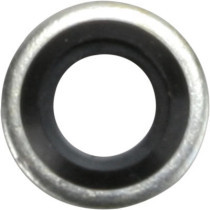 SEALNG WASHER ROCKER COVER SCREW