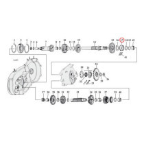 BEARING RACE, MAINSHAFT