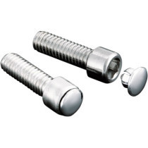 HOT SPOTS CUSTOM END PLUGS CHROME FOR 1/4" ALLEN BOLTS