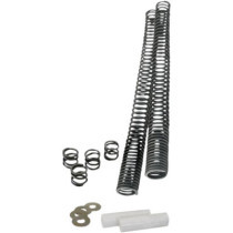 FORK SPRING KIT