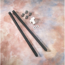 PROGRESSIVE SUSPENSION FORK LOWERING KIT (LOWERS 1")