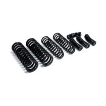 FORK SPRING SET OUTER/INNER 8 PC, WL