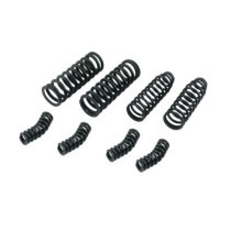 FORK SPRING SET OUTER/INNER 8  PC.KIT