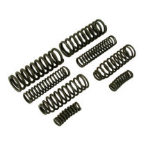 SPRINGER REPLACEMENT SPRING SET (8)