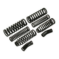 SPRINGER REPLACEMENT SPRING SET (8)