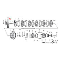 CLUTCH SPRING SET. SHORT