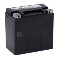 MCS, Advance Series - AGM sealed battery. 12V, 14Ah, 220CCA