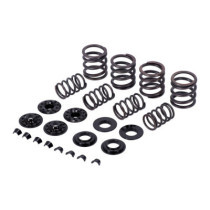 KPMI, valve spring kit. .415" lift. Steel top collars