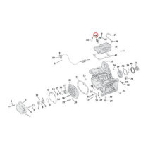 Standard Co, transmission neutral switch