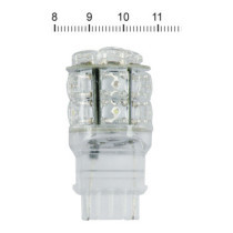 SuperFlux  diese 194 LED miniature bulb. White light, glass base