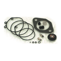 MCS, extensive carb rebuild kit Keihin butterfly