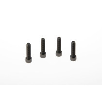 TRIPLE CLAMP SCREWS XL