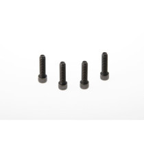 FENDER SCREWS XL