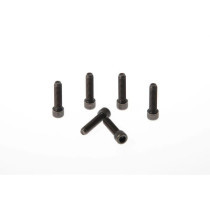 FORK TRIPLE CLAMP SCREWS