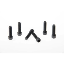 FORK TRIPLE CLAMP SCREWS