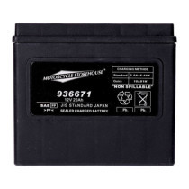 MCS, Standard Series - AGM sealed battery. 12V, 20Ah. 320CCA