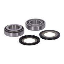 MCS, frame neck bearing, race & seal kit