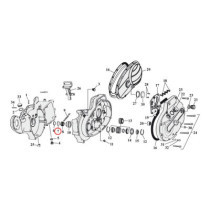 THRUST WASHERS, PINION SHAFT