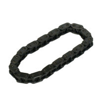 Inner cam chain, 06-17 Twin Cam