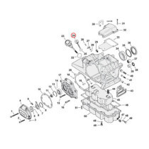 Oil fill plug, transmission oil. Round head