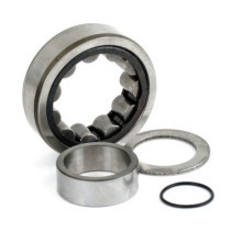 Camshaft roller bearing. Outer, rear