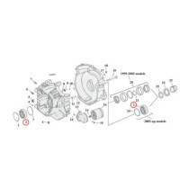 Bearing, pinion shaft