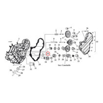 SEAL RING, PINION SHAFT