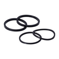 Caliper seal kit, rear