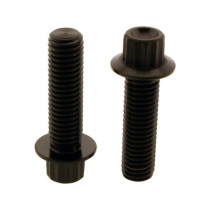  Titan Front Brake Caliper Screw Kit 2-Piece Black 