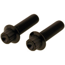  Titan Front Brake Caliper Screw Kit 2-Piece Black 