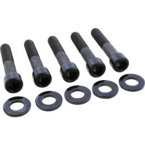  Sprocket/Pulley Screw Kit 5 Allen Head Screws, 5 Washers Gloss Black Powder Coated 