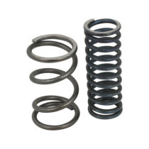  Replacement Spring Set M6 Primary Chain Tensioner 